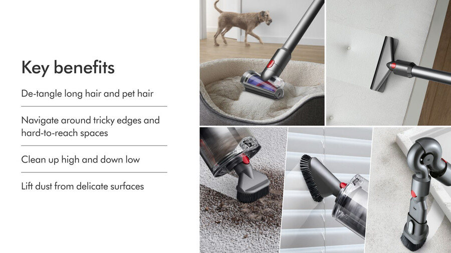 dyson v11 advanced staubsauger in nickel und lila