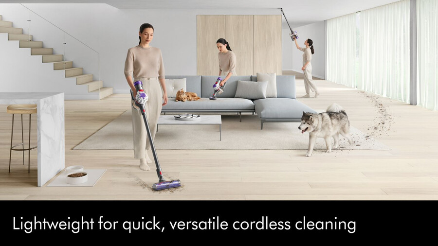 dyson v8 absolute staubsauger
