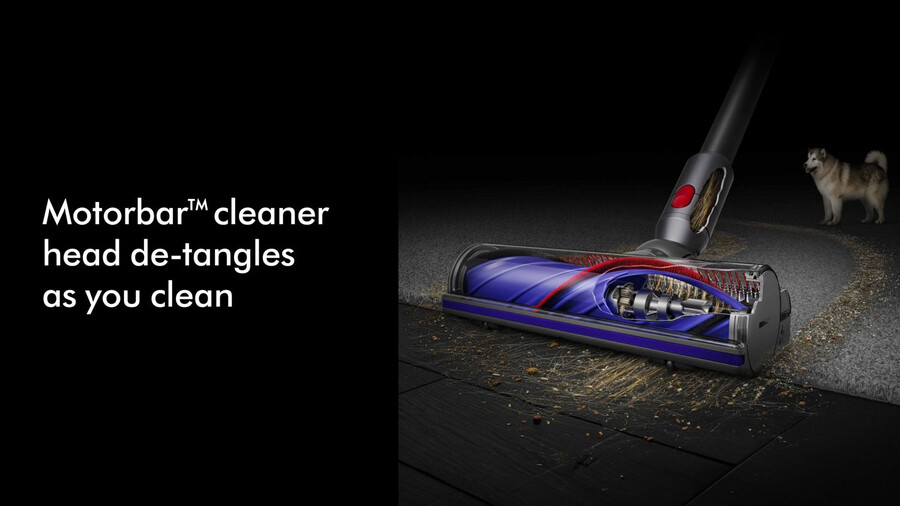 dyson v8 absolute staubsauger