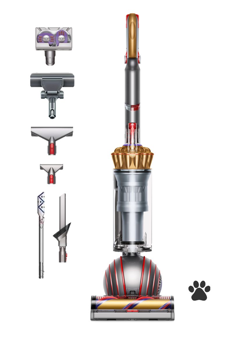 dyson ball animal complete staubsauger gold