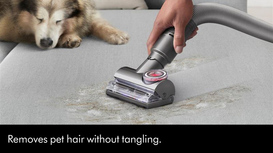 dyson ball animal complete staubsauger gold