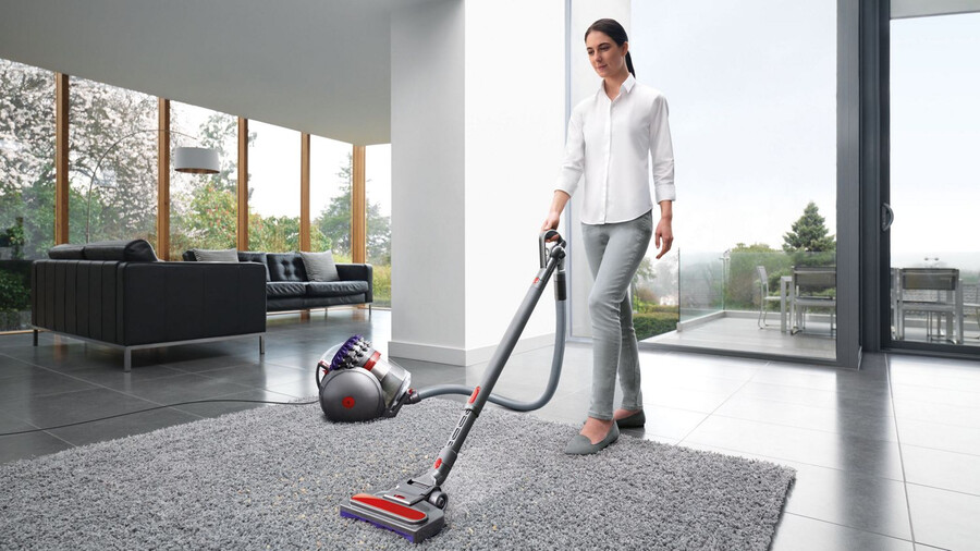 dyson big ball animal 2